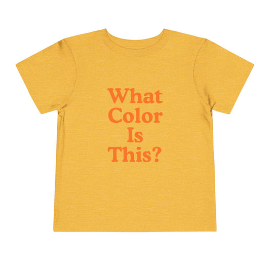 Toddler “What Color Is This?” Tee – Orange with Fruit (Back Print)