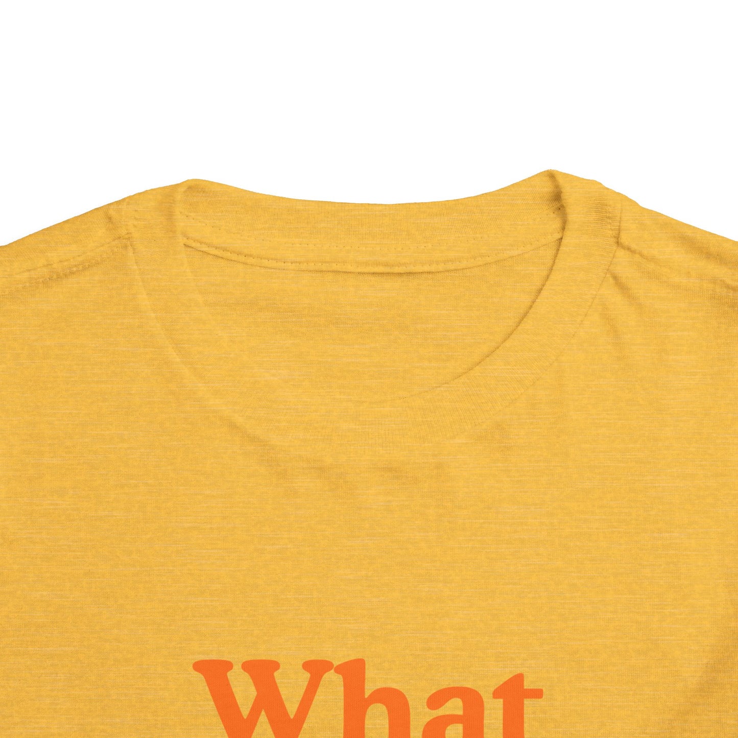 Toddler “What Color Is This?” Tee – Orange with Fruit (Back Print)