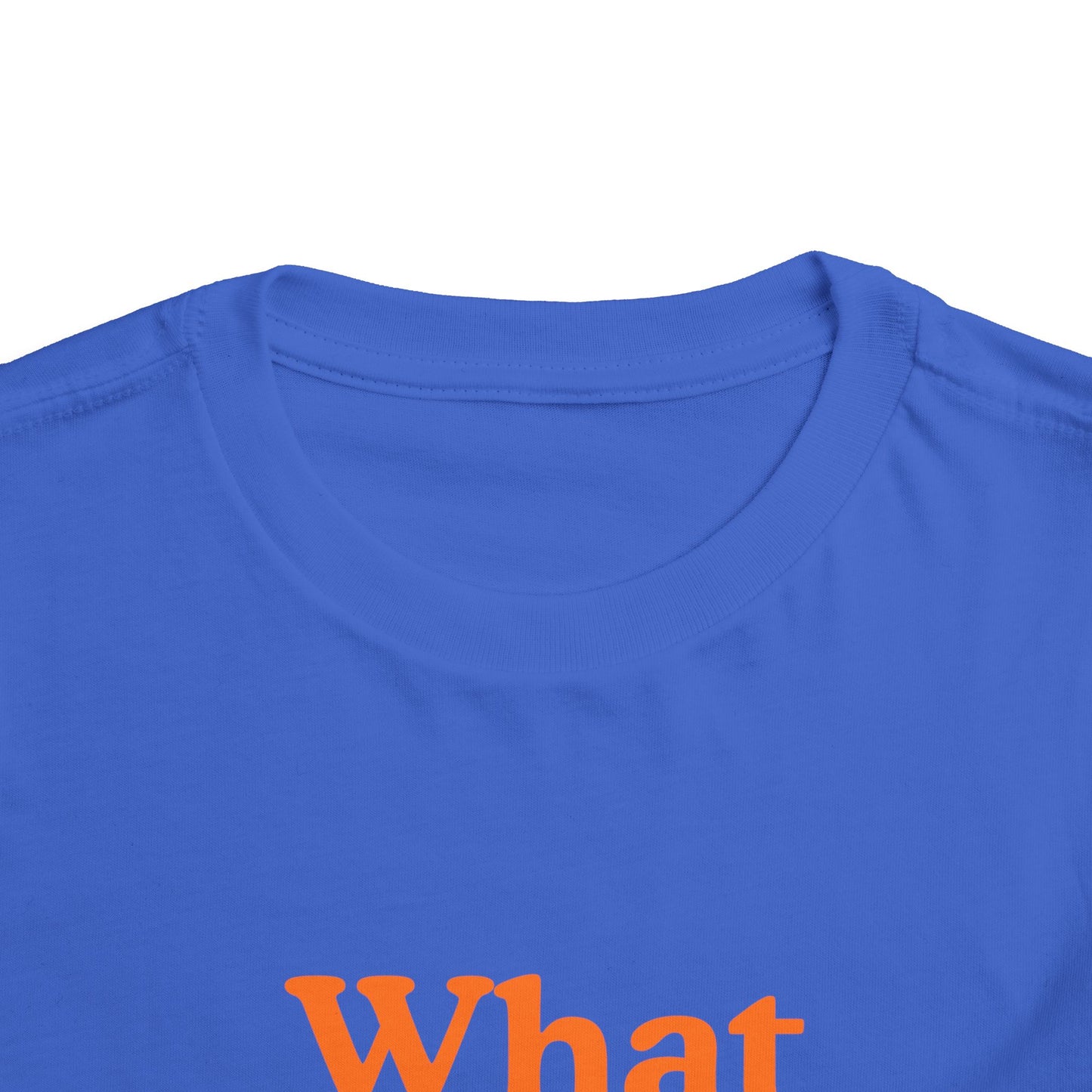 Toddler “What Color Is This?” Tee – Orange with Basketball (Back Print)