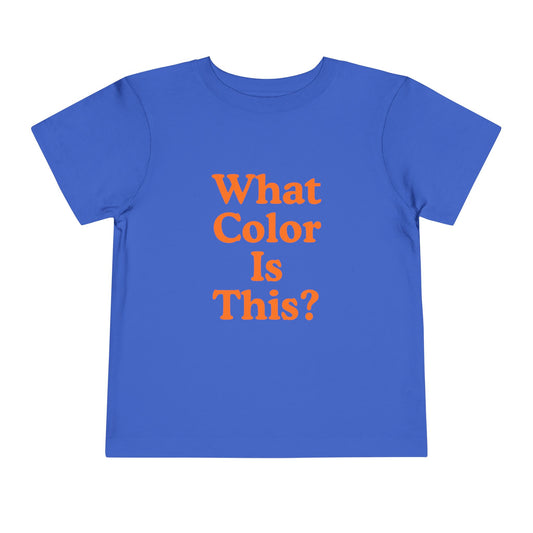 Toddler “What Color Is This?” Tee – Orange with Basketball (Back Print)
